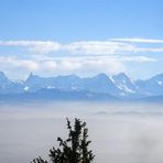 Blick vom Weissenstein in die Alpen