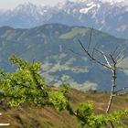 Blick vom Wiedersberger Horn