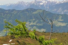 Blick vom Wiedersberger Horn