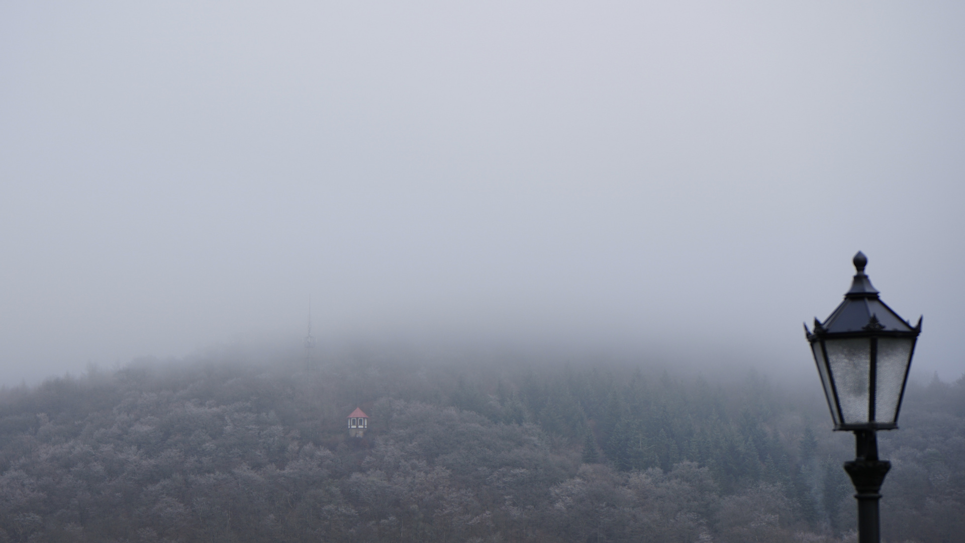 Blick vom Wilhelmsturm