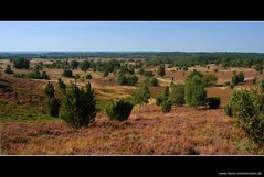 Blick vom Wilseder Berg