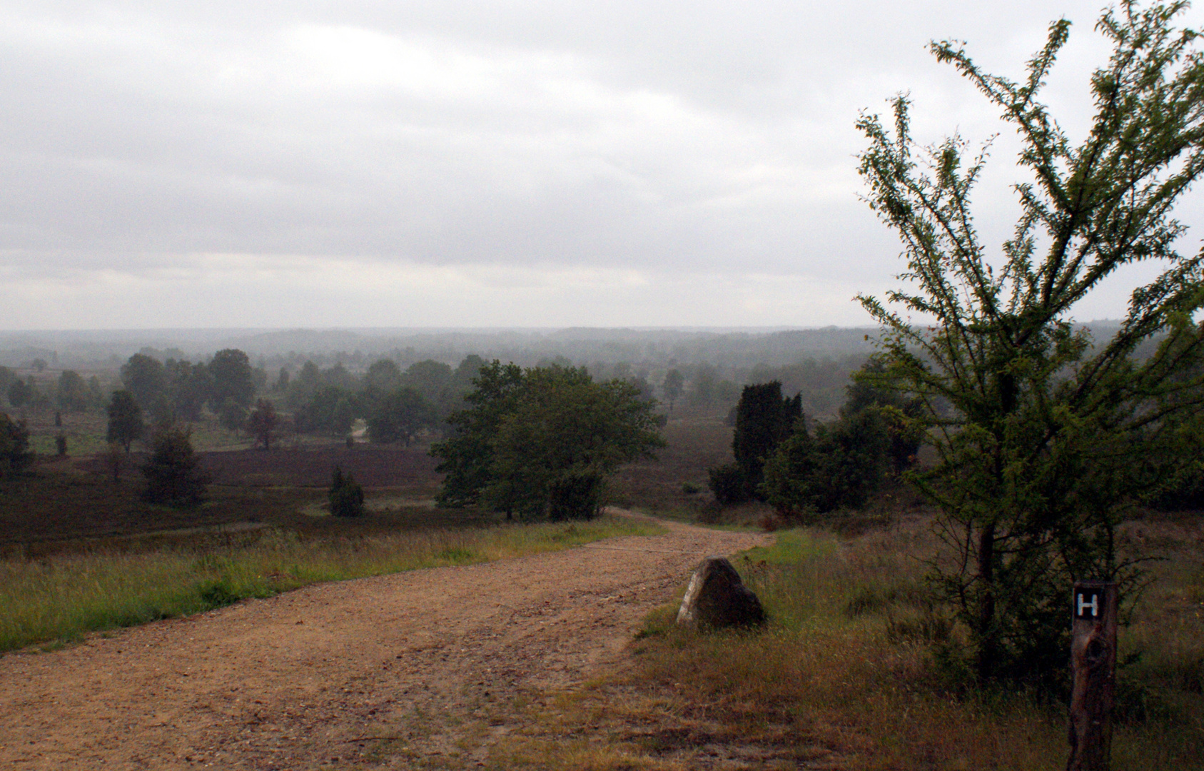 Blick vom Wilseder Berg