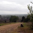 Blick vom Wilseder Berg