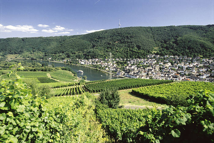 Blick vom Winninger Röttgen auf Koblenz Lay