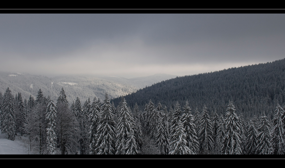 Blick vom winterlichen Feldberg im Schwarzwald