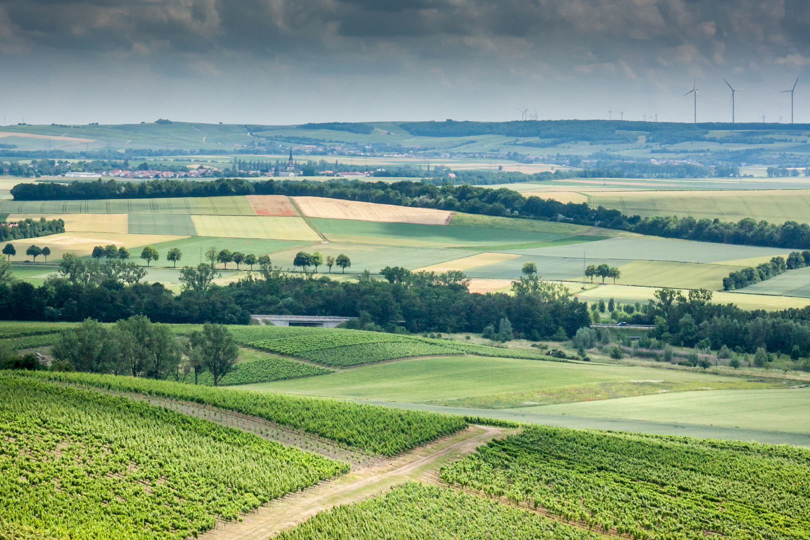 Blick vom Wißberg