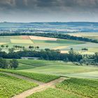 Blick vom Wißberg