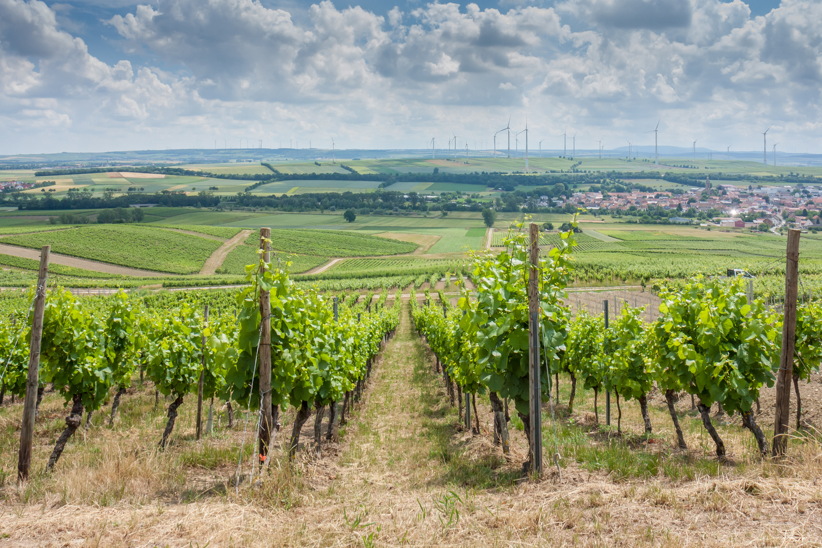 Blick vom Wißberg