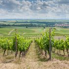 Blick vom Wißberg