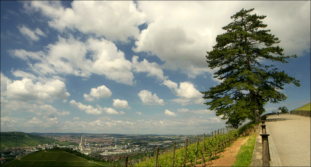 Blick vom Württemberg