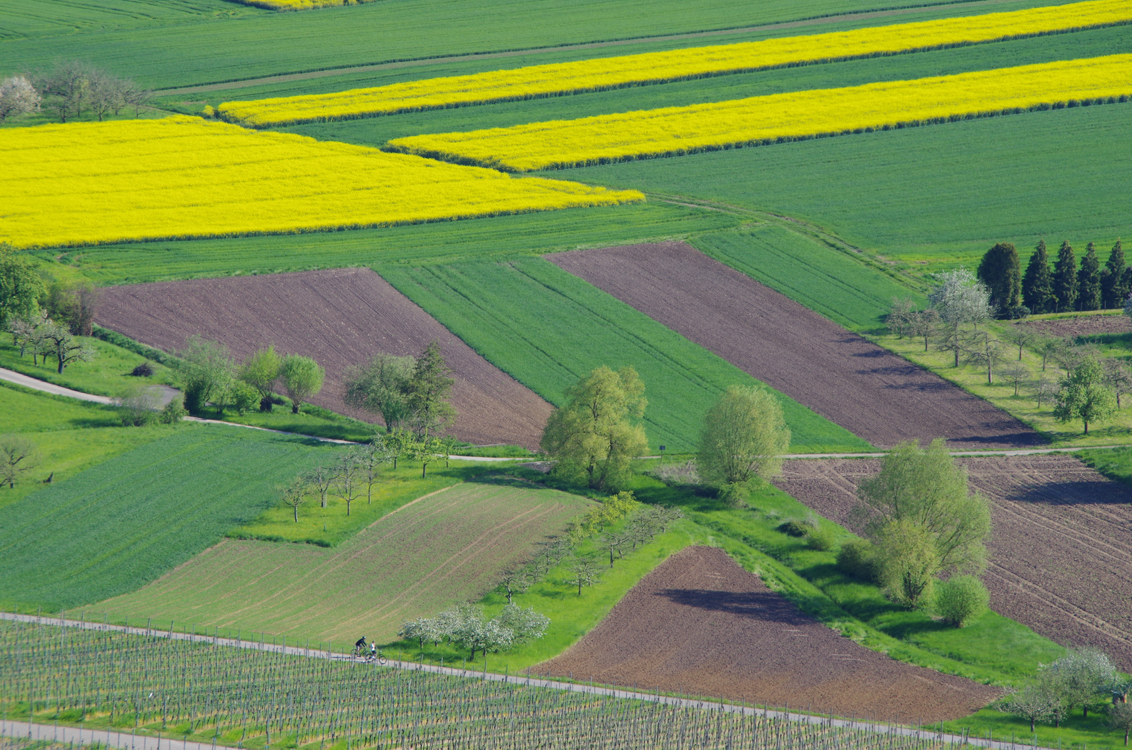 Blick vom Wunnenstein / Bottwartal