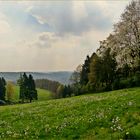 Blick vom Wuppertaler Ehrenberg auf das kleine Tal im Heusiepen.