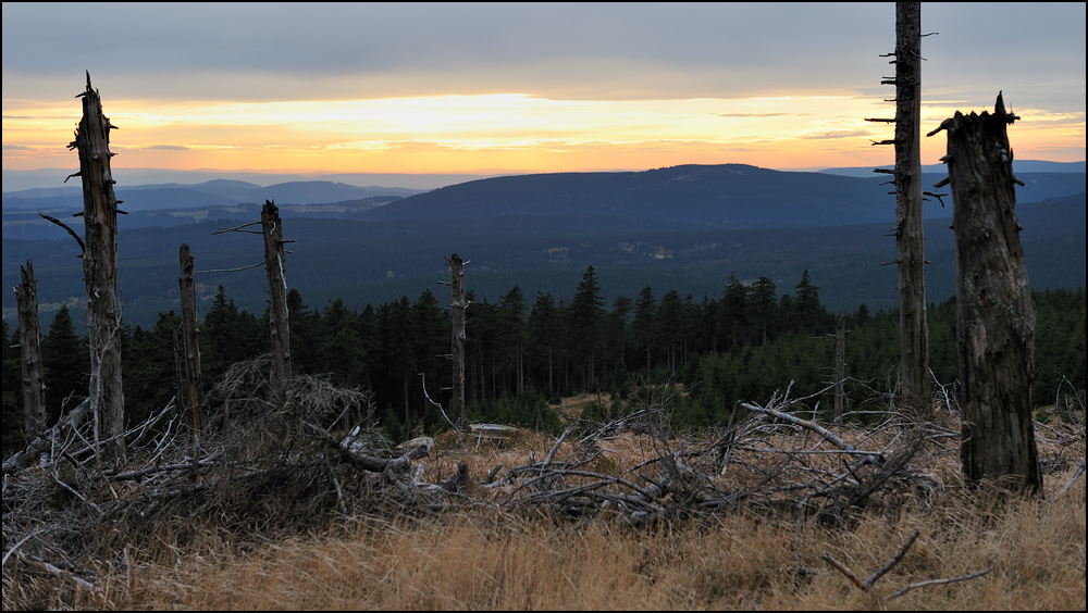 [ Blick vom Wurmberg ] Foto & Bild deutschland, europe, niedersachsen