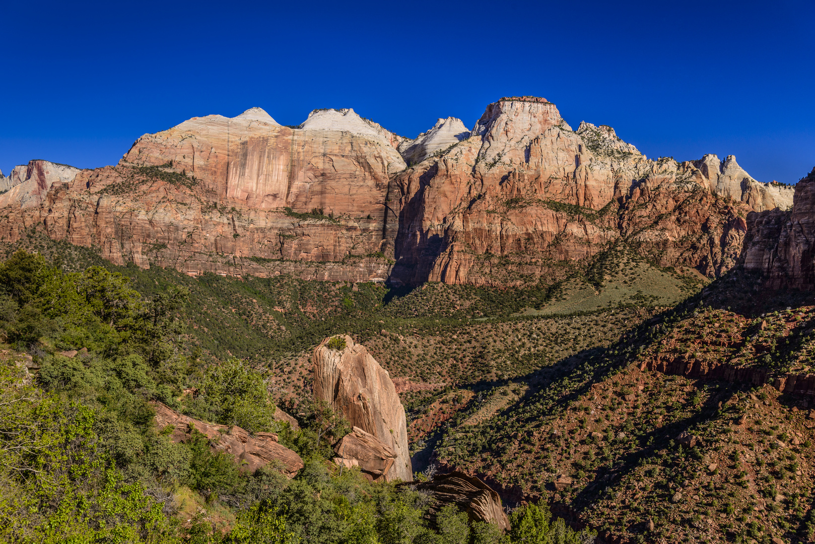 Blick vom Zion - Mount Carmel Highway, Zion NP, Utah, USA