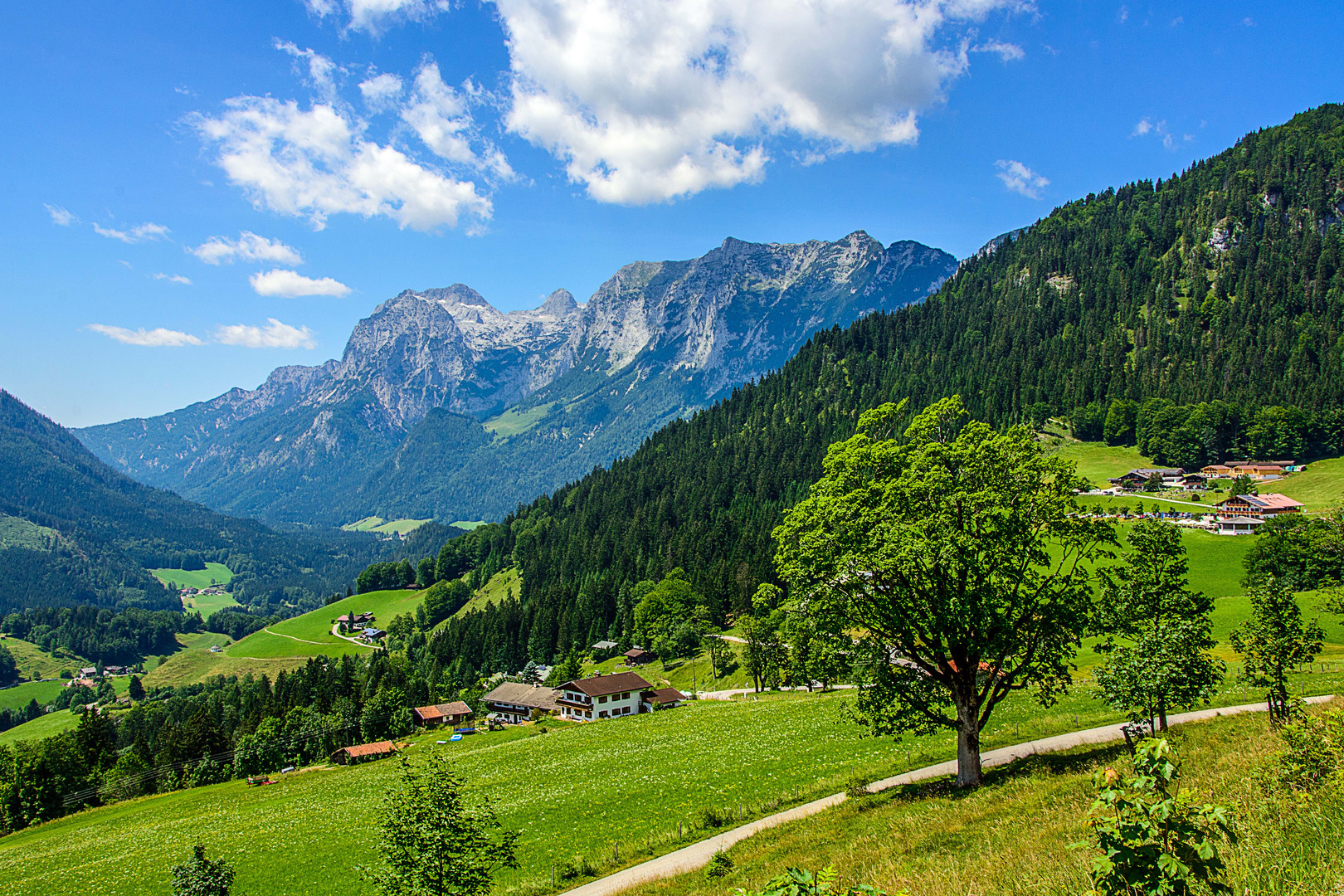 Blick vom Zipfhäusel