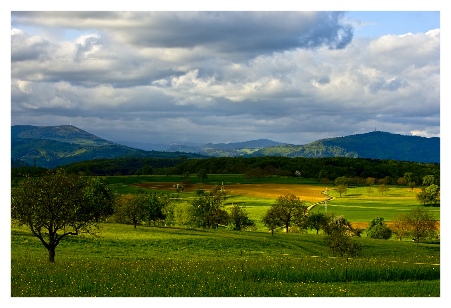 Blick von Adelhausen