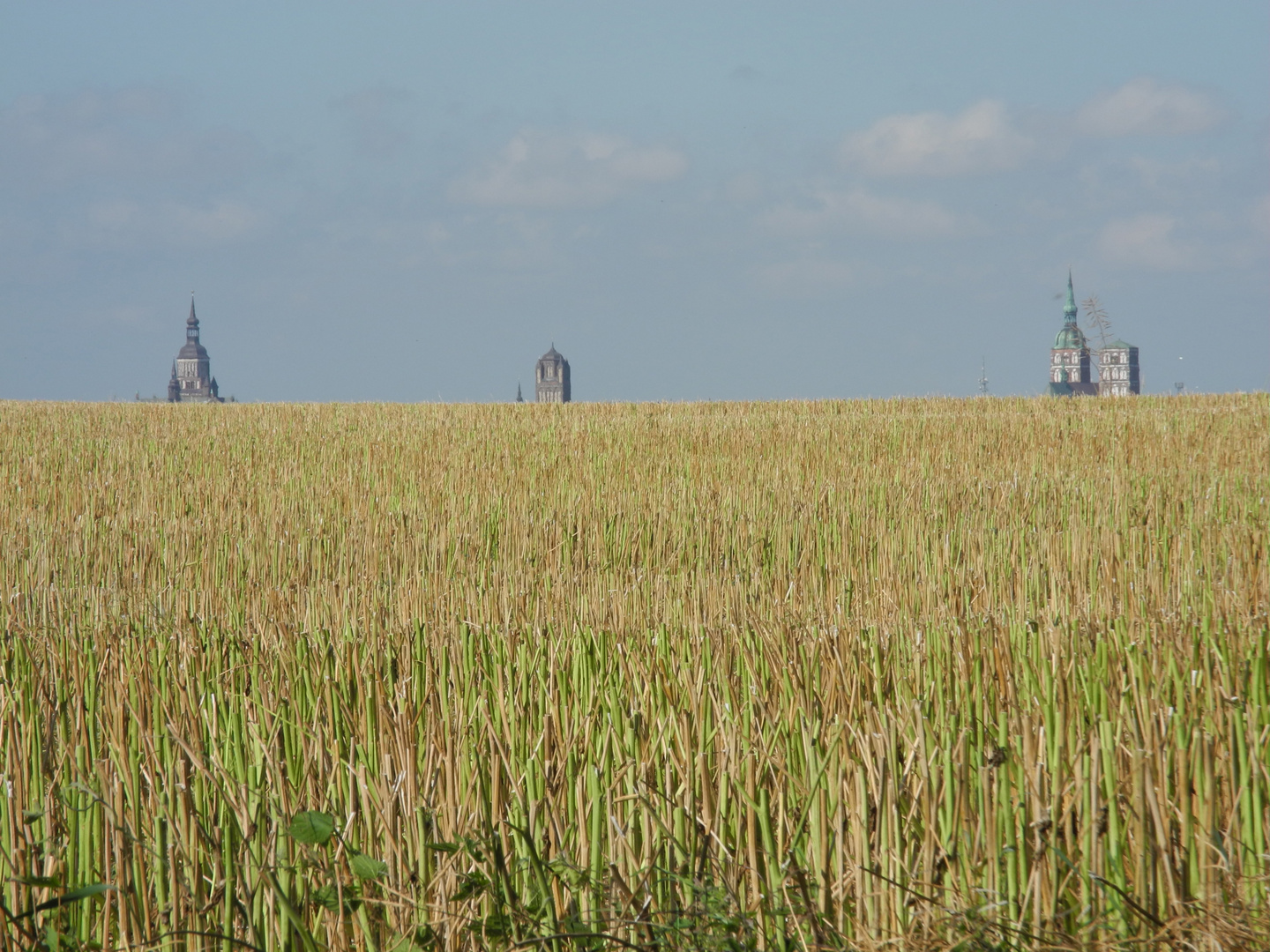 Blick von Altefähr übern Acker nach Rügen