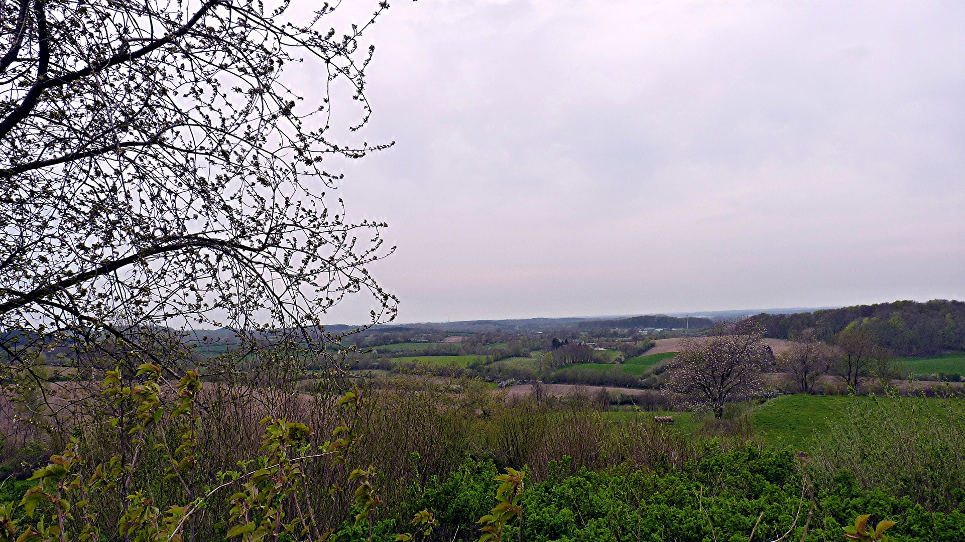 Blick von Ascheberg