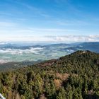 Blick von Aussichtskanzel auf Bergstation der Sesselbahn