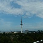 Blick von Aussichtturm Waldstation Hannover 2