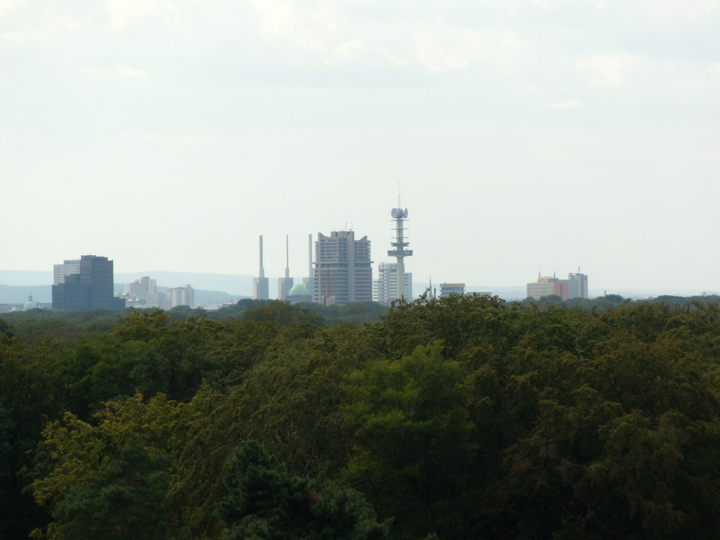 Blick von Aussichtturm Waldstation Hannover 4