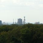 Blick von Aussichtturm Waldstation Hannover 4