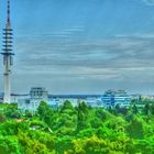 Blick von Aussichtturm Waldstation Hannover 5