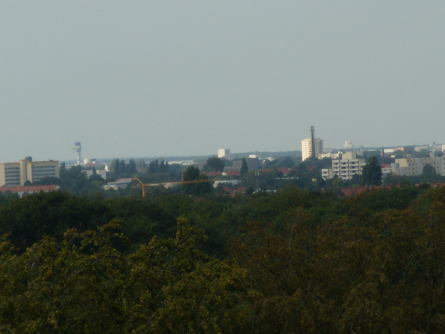 Blick von Aussichtturm Waldstation Hannover