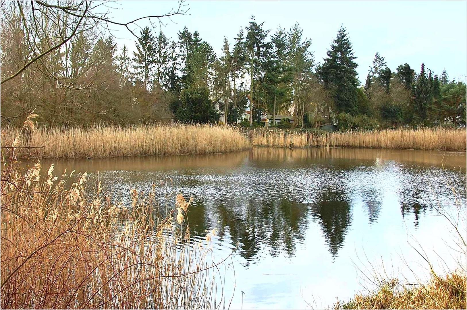 Blick von Berlin nach Brandenburg