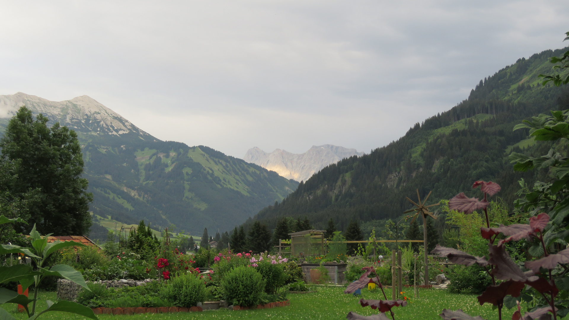 Blick von Bichlbach Foto & Bild landschaft, jahreszeiten, sommer