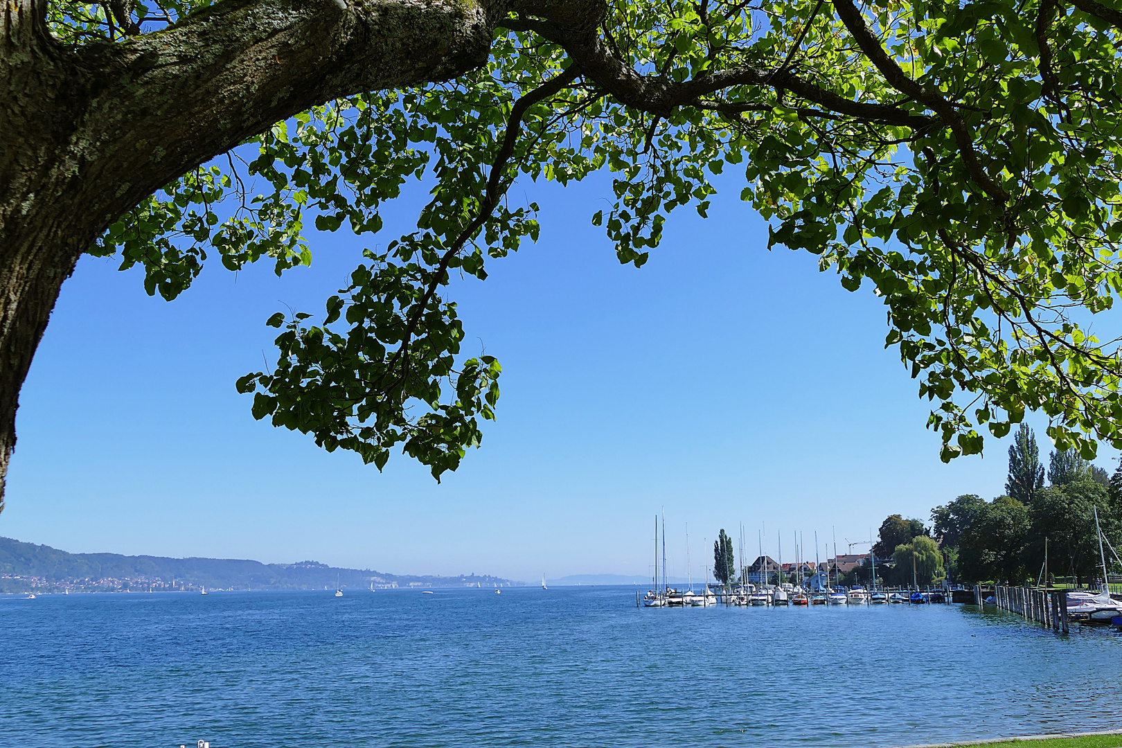 Blick von Bodman auf den Bodensee und in Richtung Meersburg