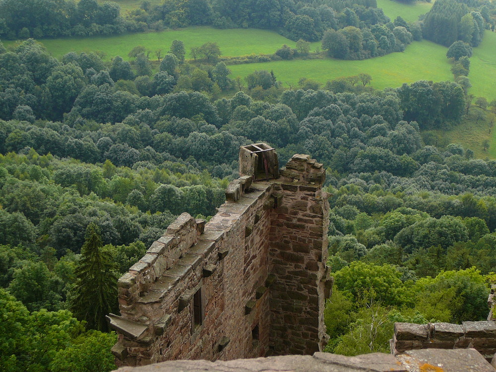 Blick von Burg Hanstein