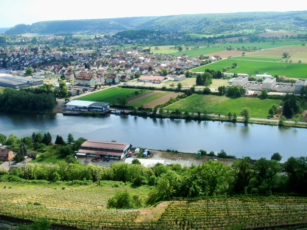 Blick von Burg Hornberg auf den Neckar