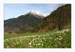 Blick von Burgstein nach Brand