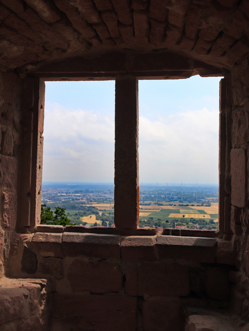 Blick von Chateau Kintzelheim im Elsass