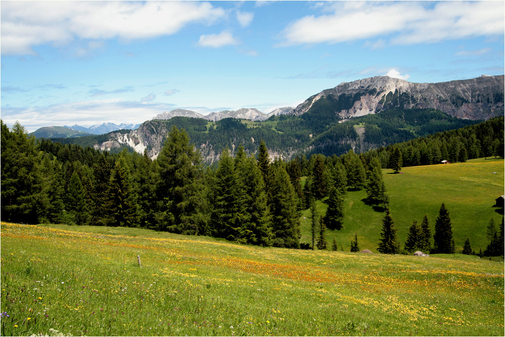 Blick von den Armentarawiesen nach Norden