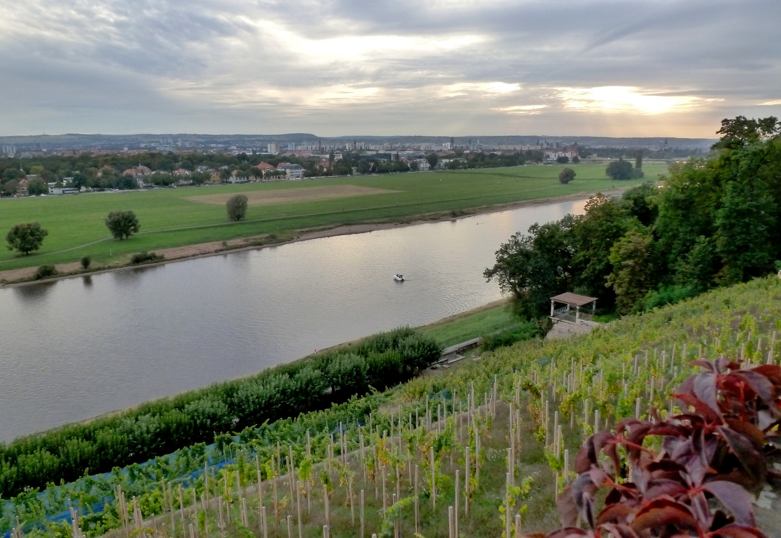 Blick von den Elbschlössern über Dresden