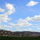 Blick von den Elbwiesen auf die Elbhänge und Fernsehturm