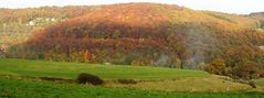 Blick von den" Langen Feldern " auf den "nassen Wald"