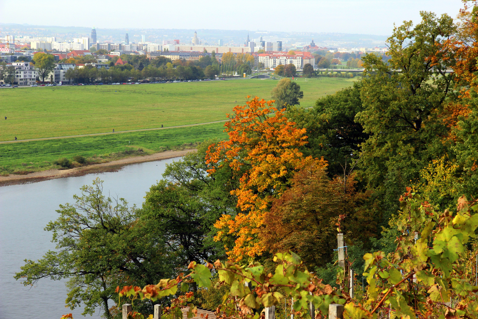 Blick von den Lingnerterrassen