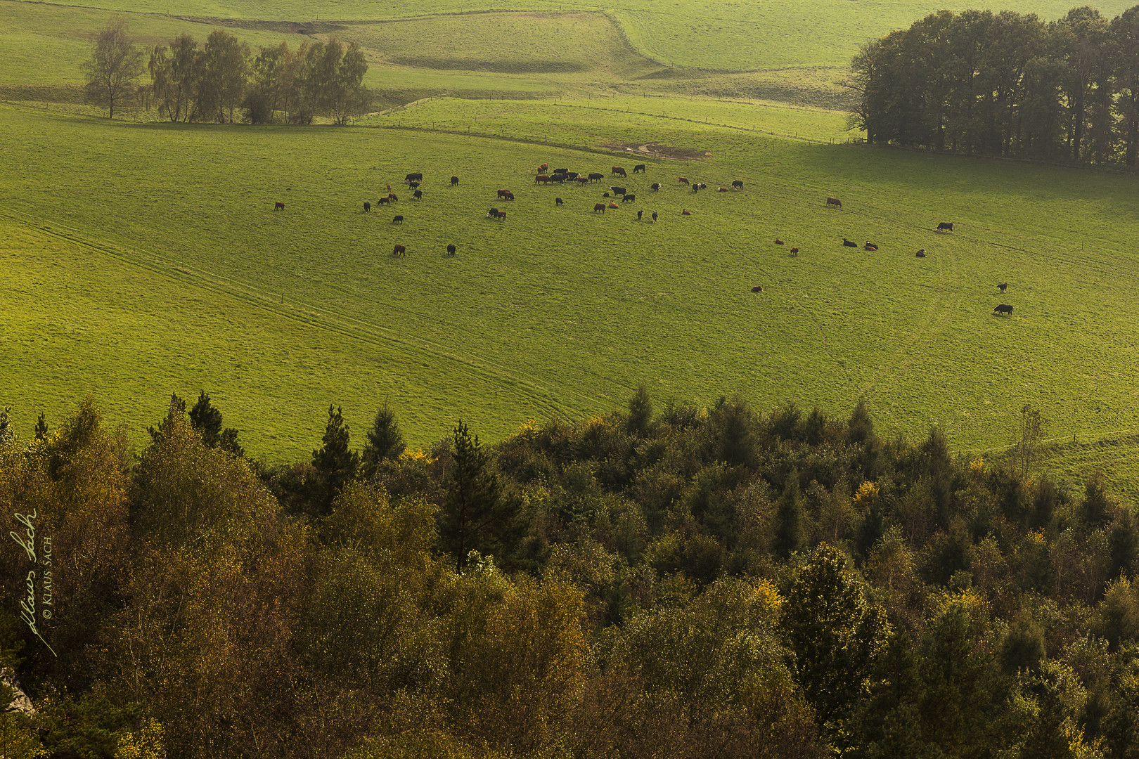 Blick von den Rauensteinen