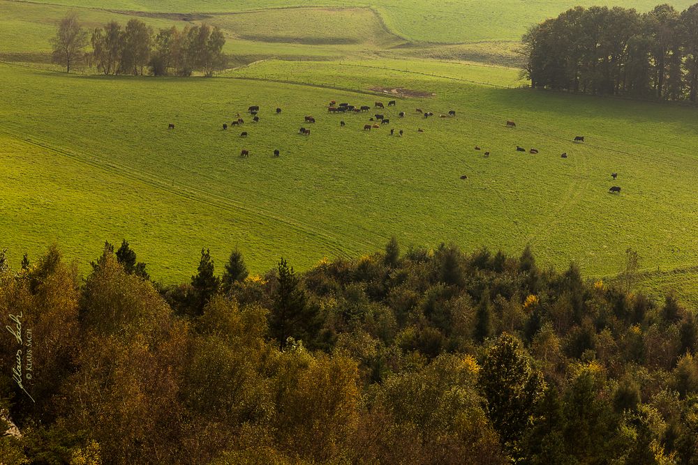 Blick von den Rauensteinen