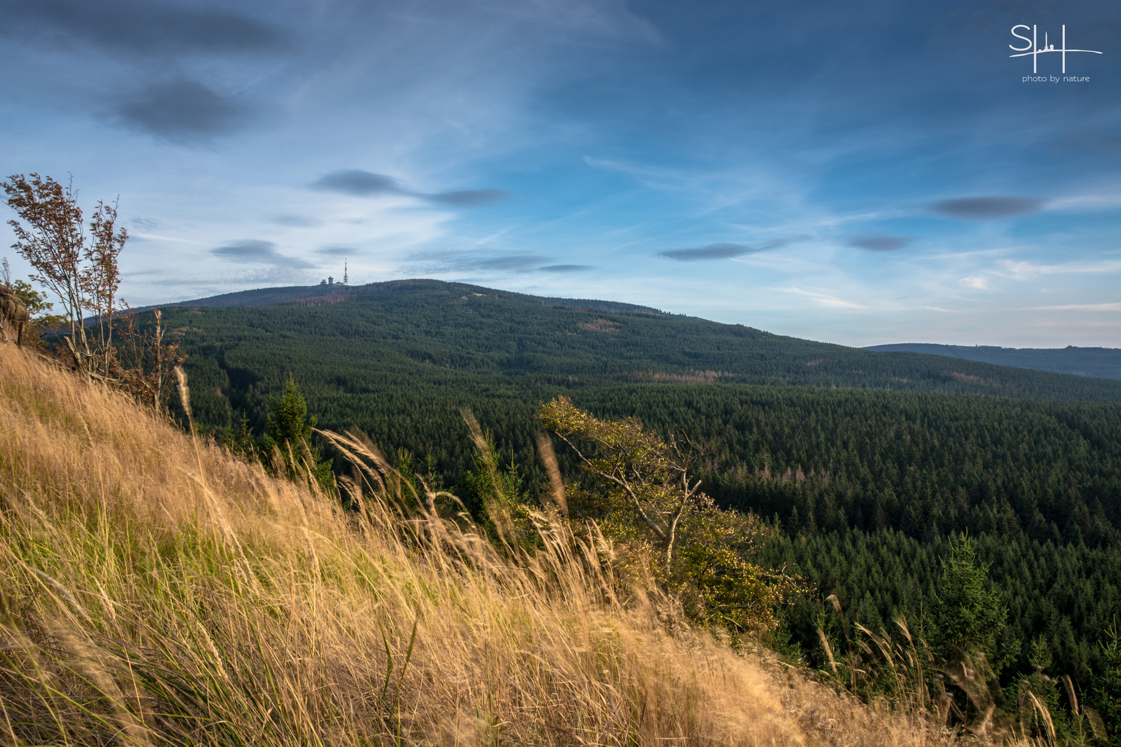 Blick von den Scharfensteinklippen