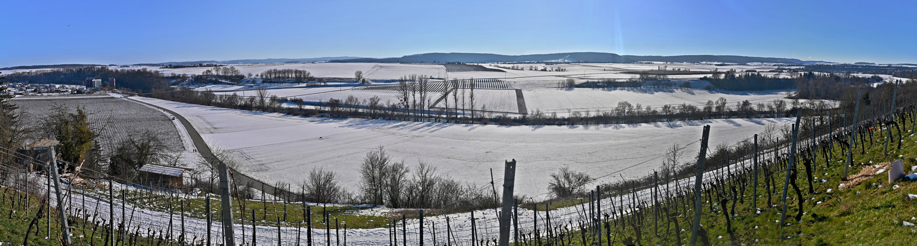 Blick von den Weinbergen