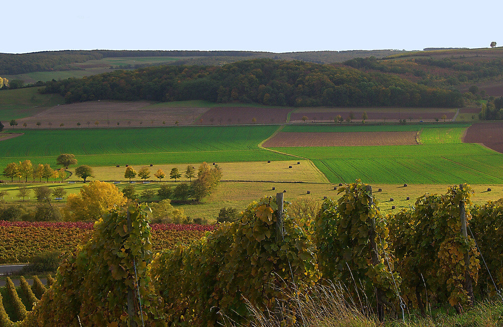 Blick von den Weinbergen