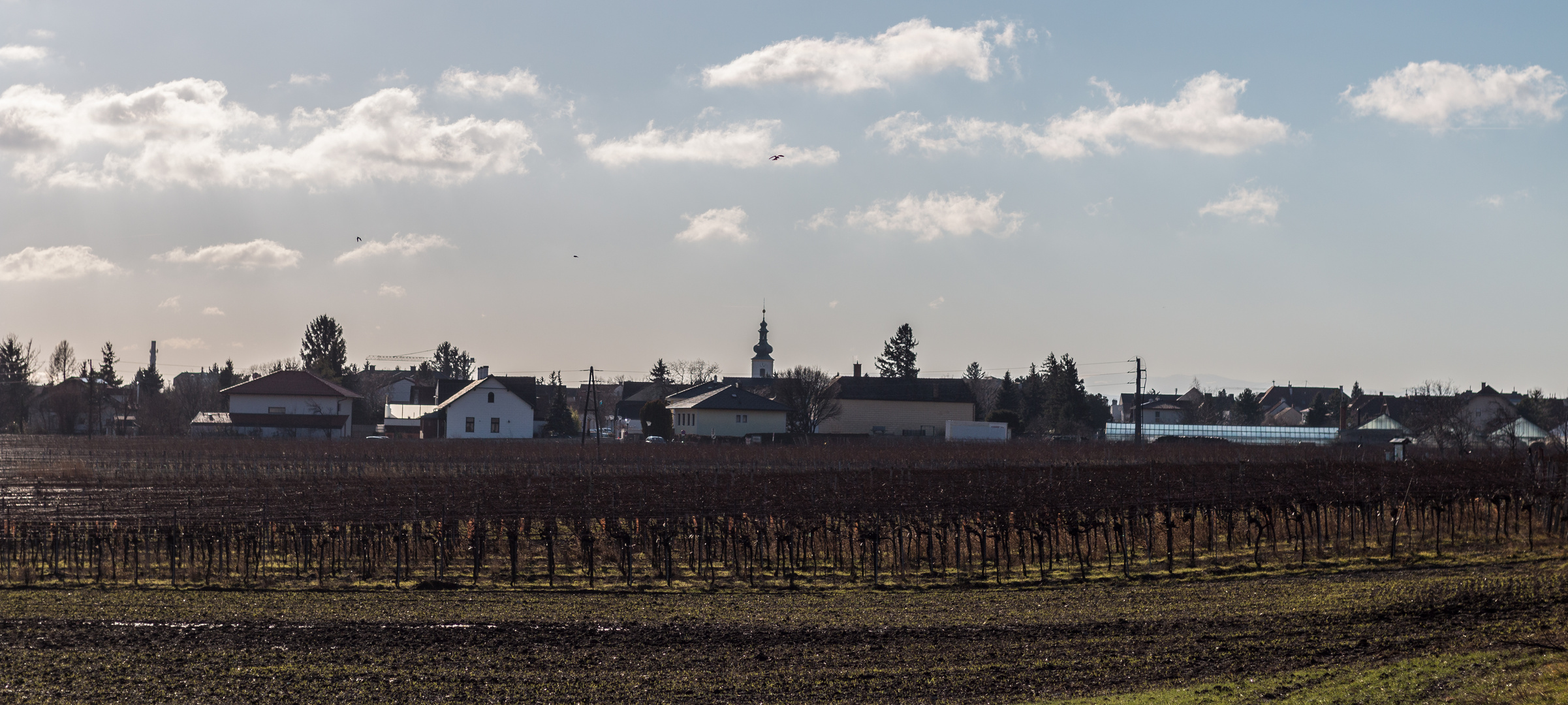 Blick von den Weinbergen auf Pfaffstätten