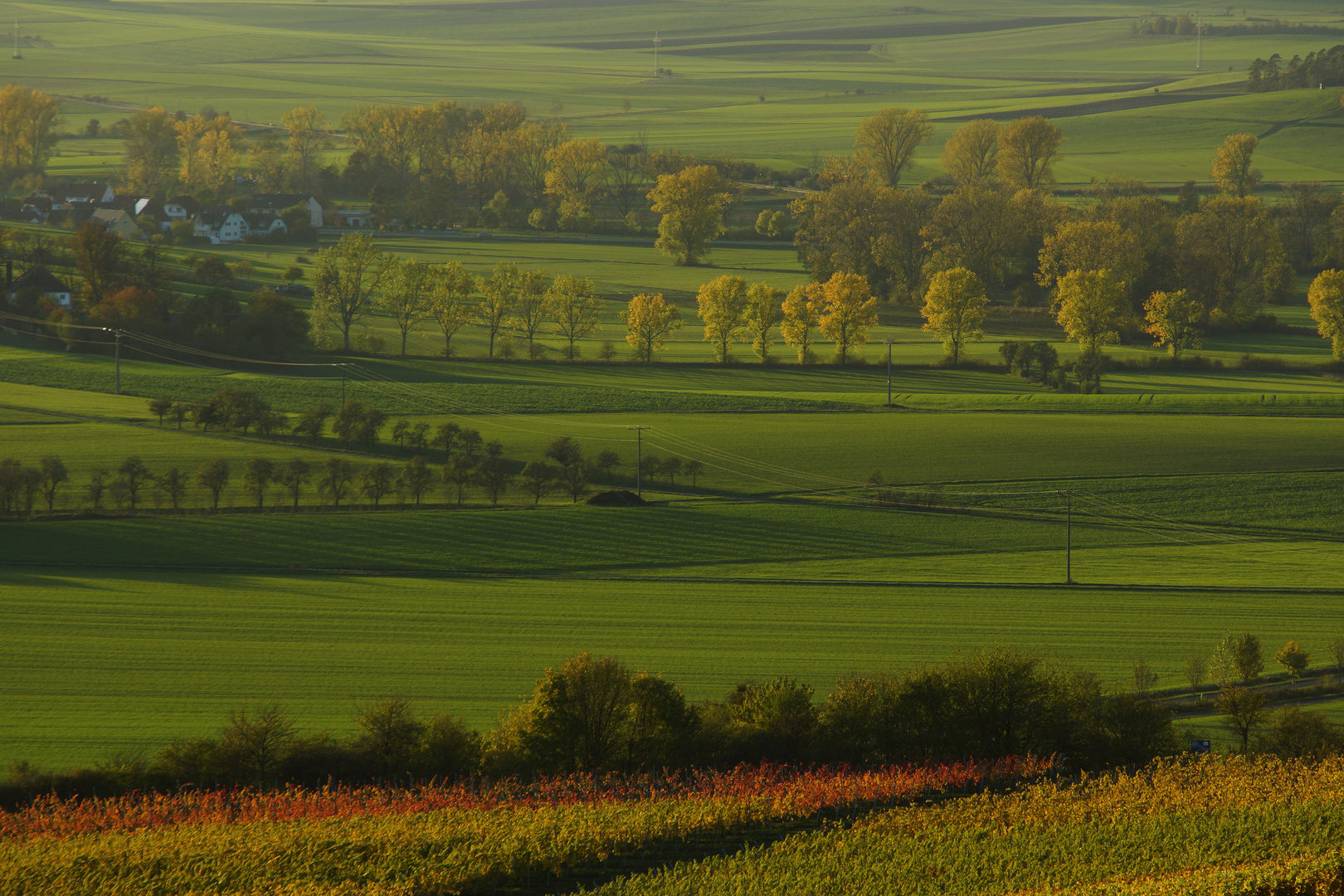 Blick von den Weinbergen bei Burg Hoheneck