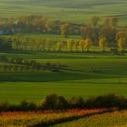 Blick von den Weinbergen bei Burg Hoheneck