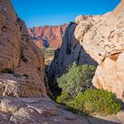 Blick von den White Rocks zum Snow-Canyon