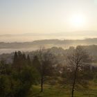 Blick von der Albisstrasse auf Langnau am Albis